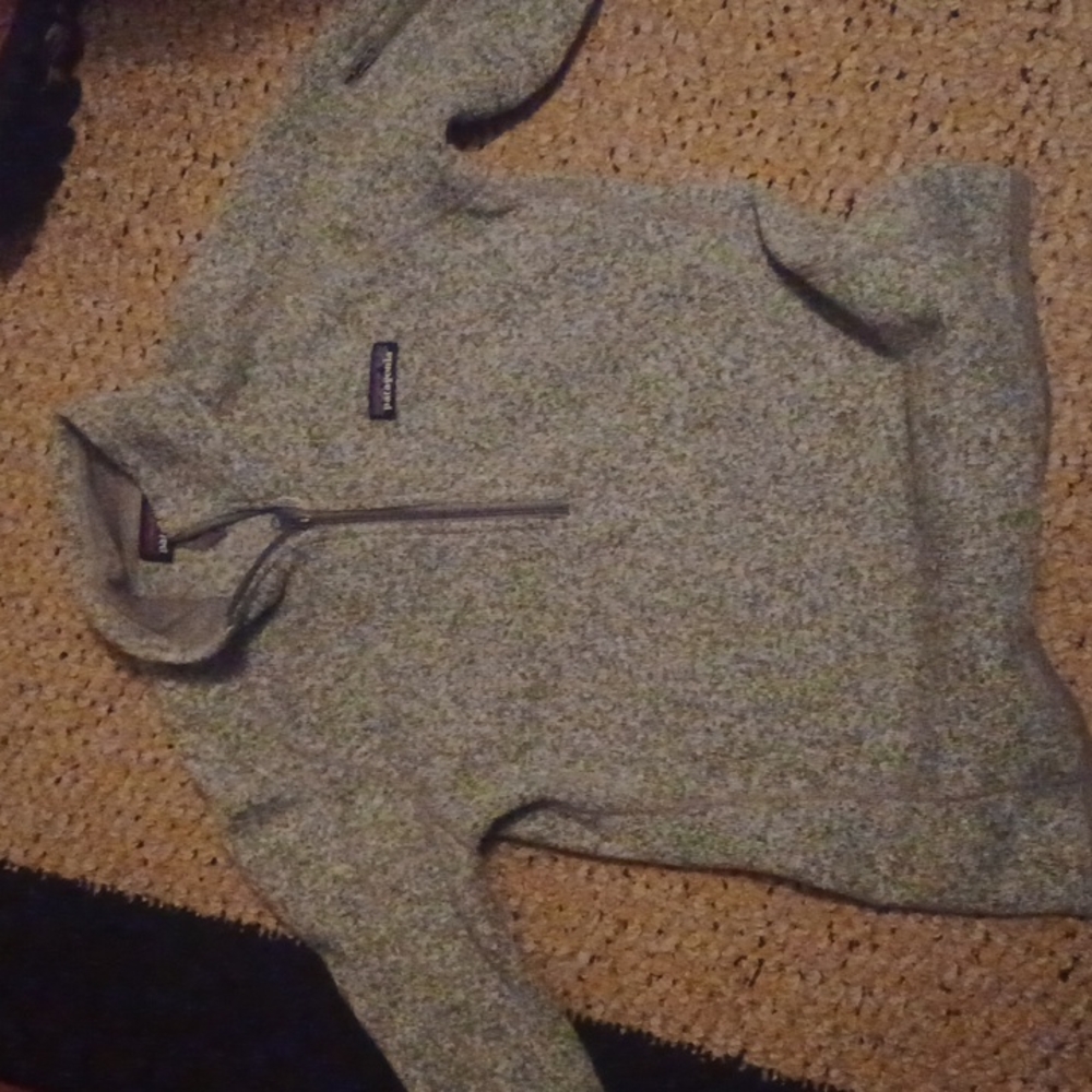 Patagonia sweatshirt